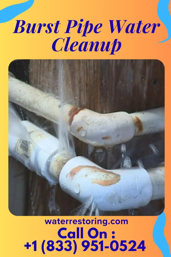 Burst Pipe Water Cleanup in Newtown, PA
