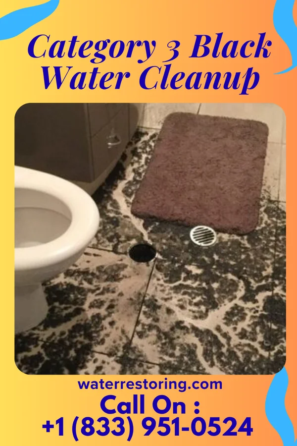 Category 3 Black Water Cleanup in Newtown, PA