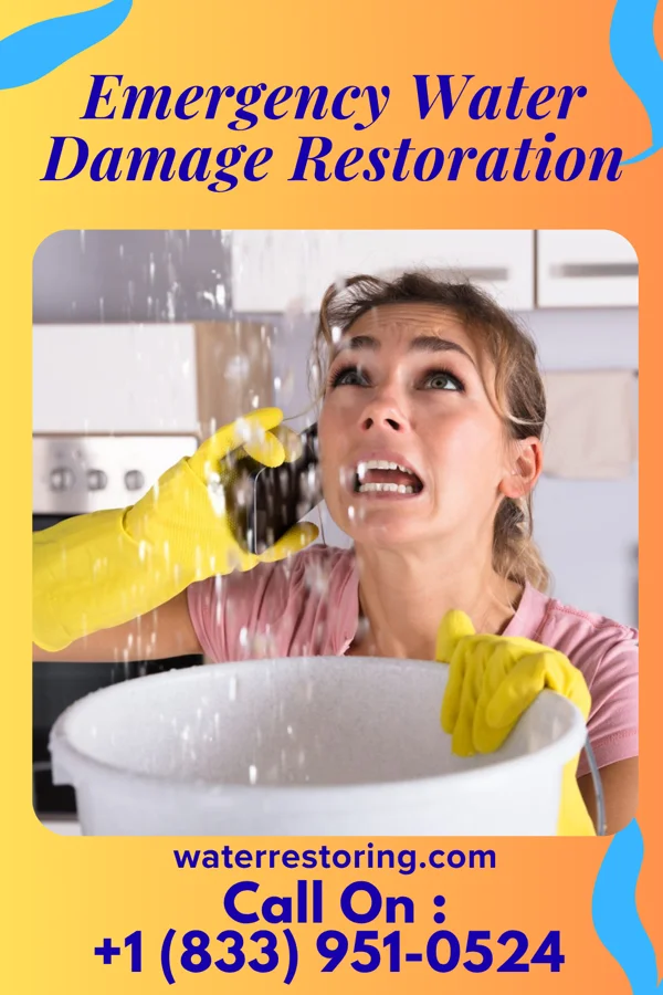 Emergency Water Damage Restoration in Newtown, PA