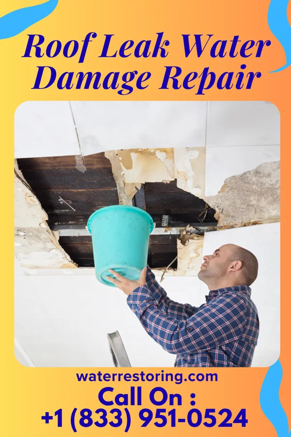 Roof Leak Water Damage Repair in Newtown, PA