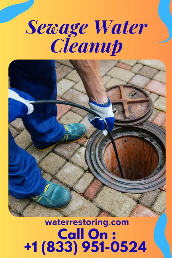 Sewage Water Cleanup in Newtown, PA
