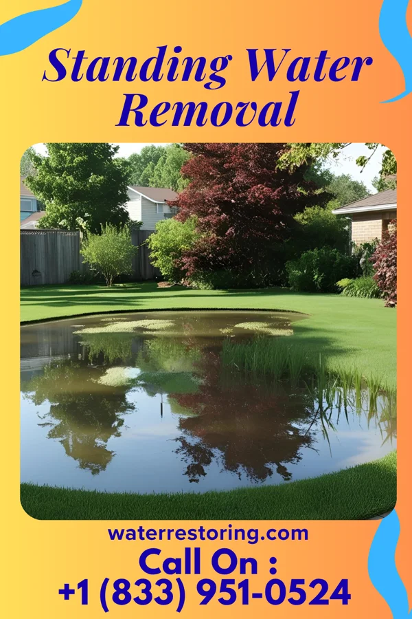 Standing Water Removal in Newtown, PA